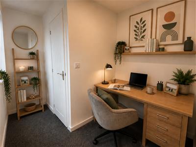 Picture 8